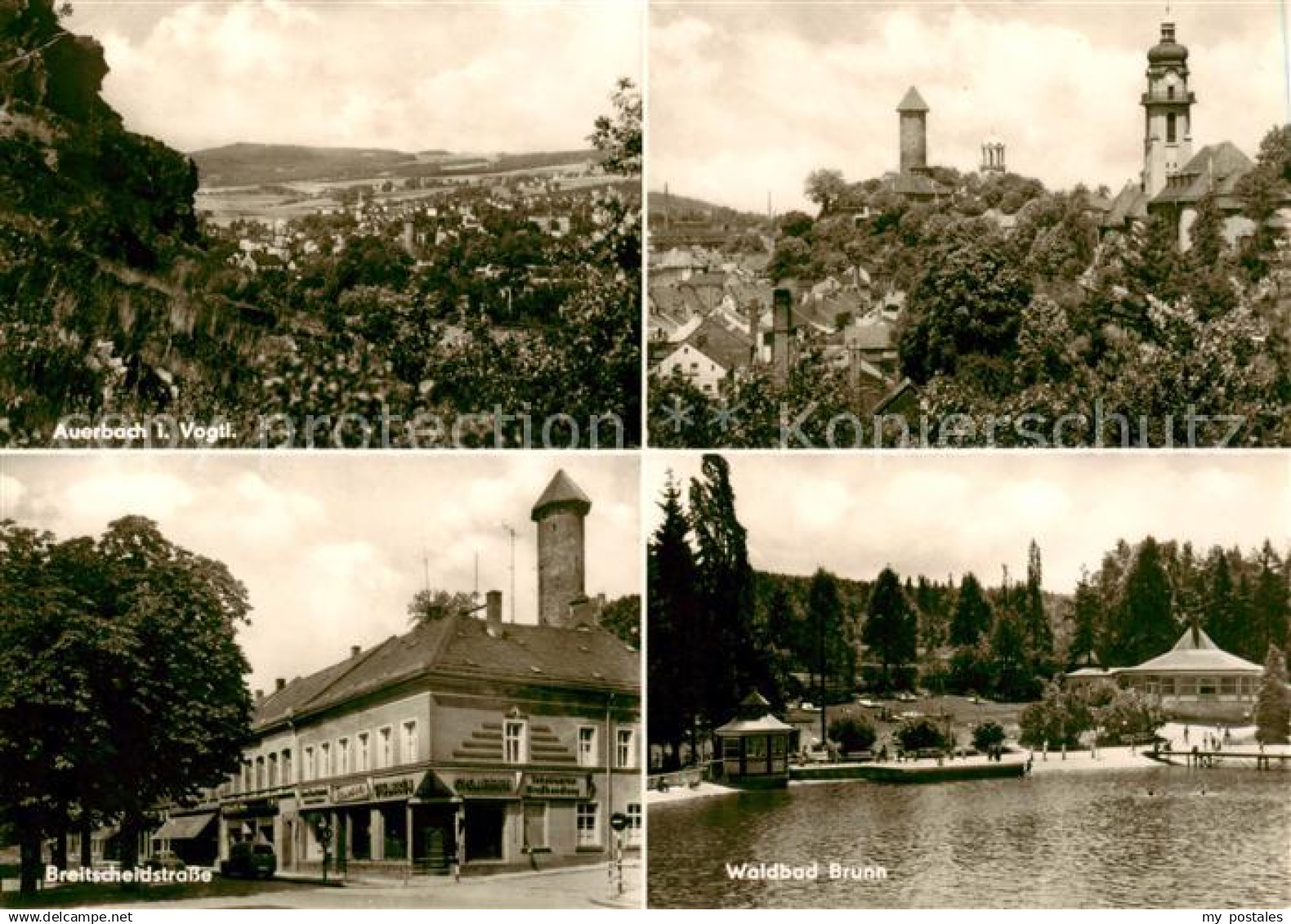 Auerbach  Vogtland Panorama Breitscheidstrasse Waldbad Brunn