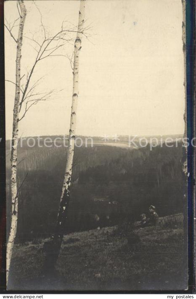 Auerbach Vogtland Wald