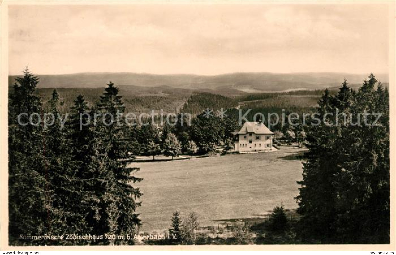 Auerbach Vogtland Zoebischhaus