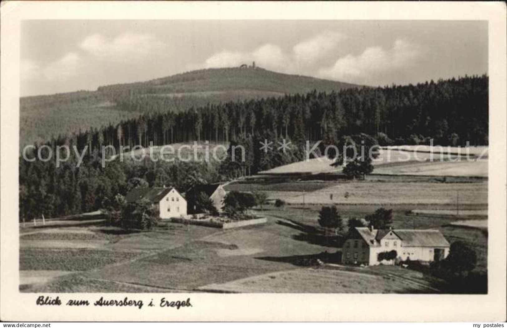 Auersberg Wildenthal Blick zum Auersberg