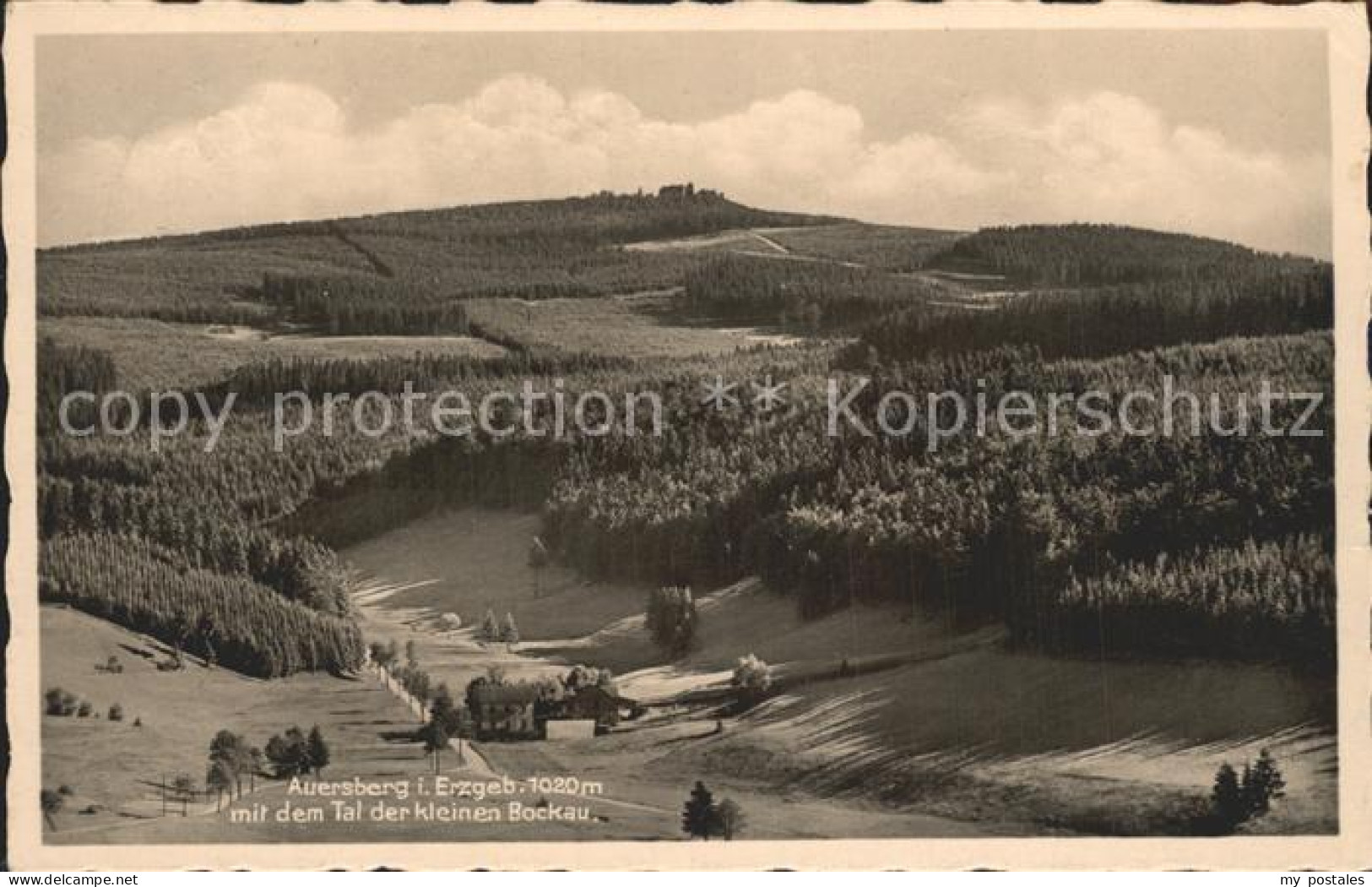 Auersberg Wildenthal Panorama Tal der kleinen Bockau