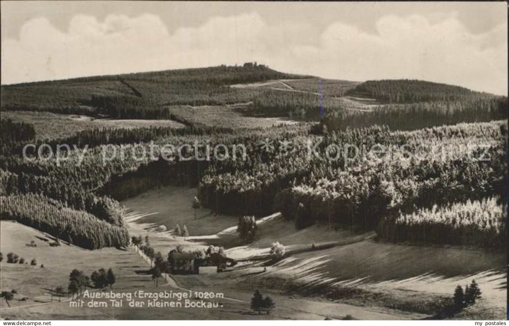 Auersberg Wildenthal Panorama Tal der kleinen Bockau Aussichtsturm Unterkunftsha