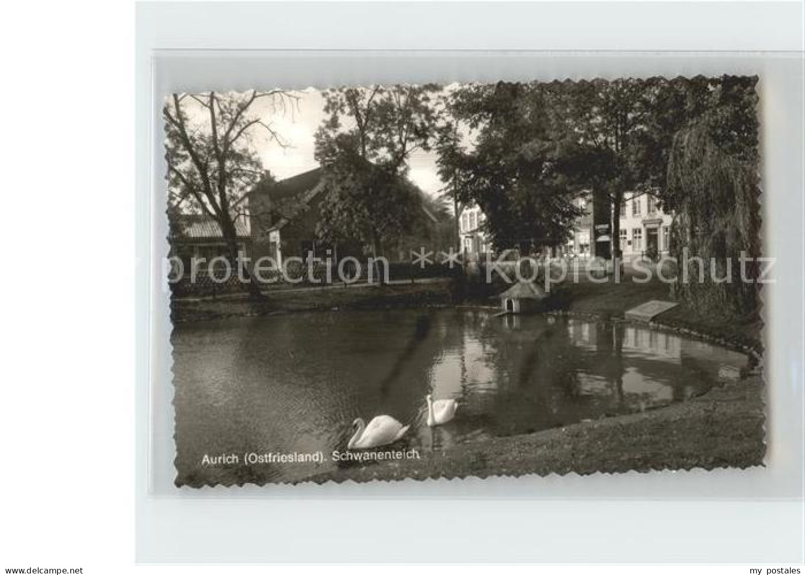 Aurich Ostfriesland Schwanenteich