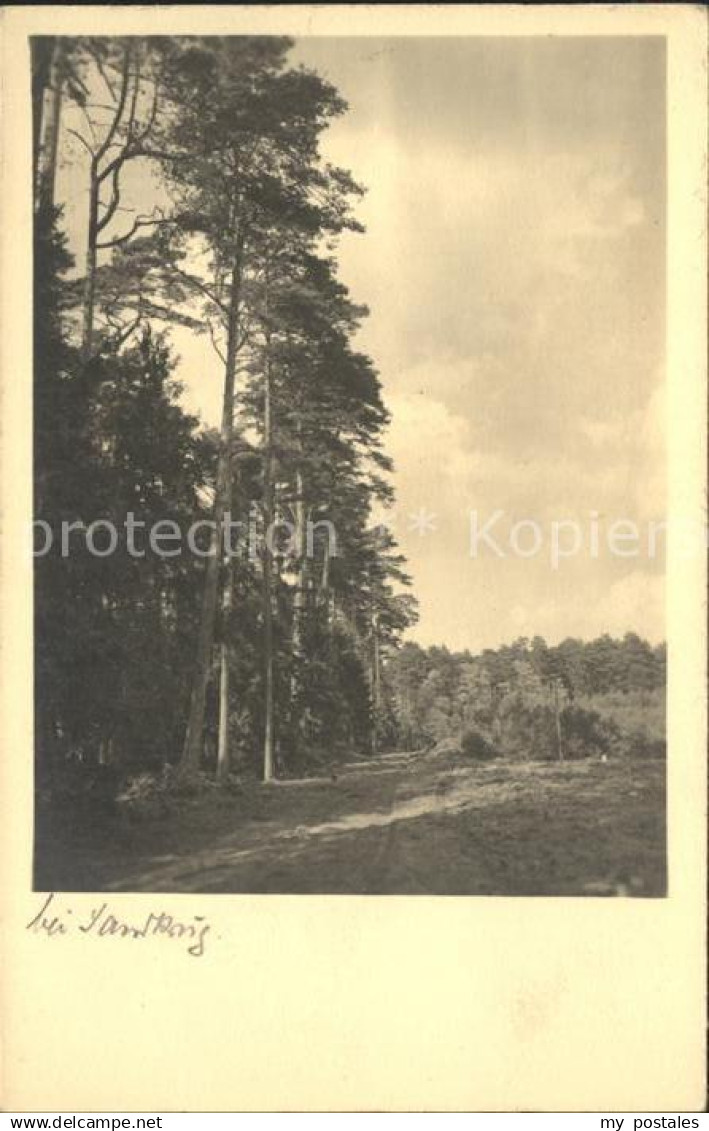 Aurich Ostfriesland Wald