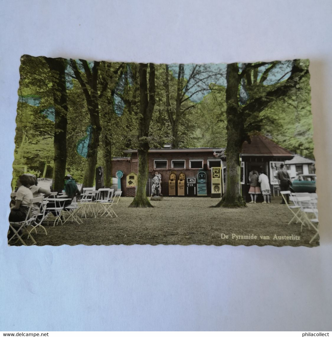 Austerlitz (Utr.) De Pyramide van Austerlitz (niet standaard) terass en omg. 1962