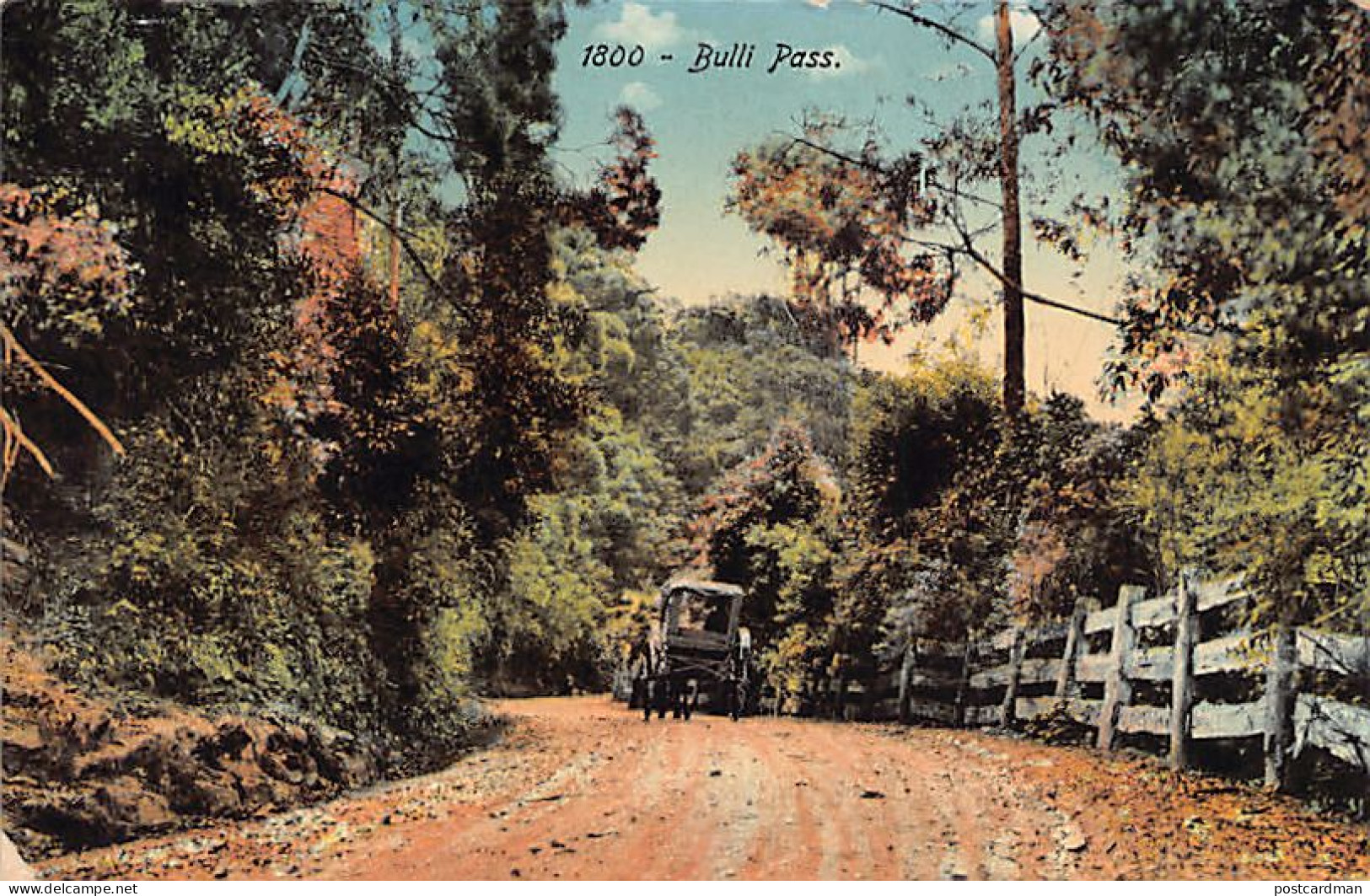 Australia - BULLI PASS (NSW) - Publ. S. W. Nature Series