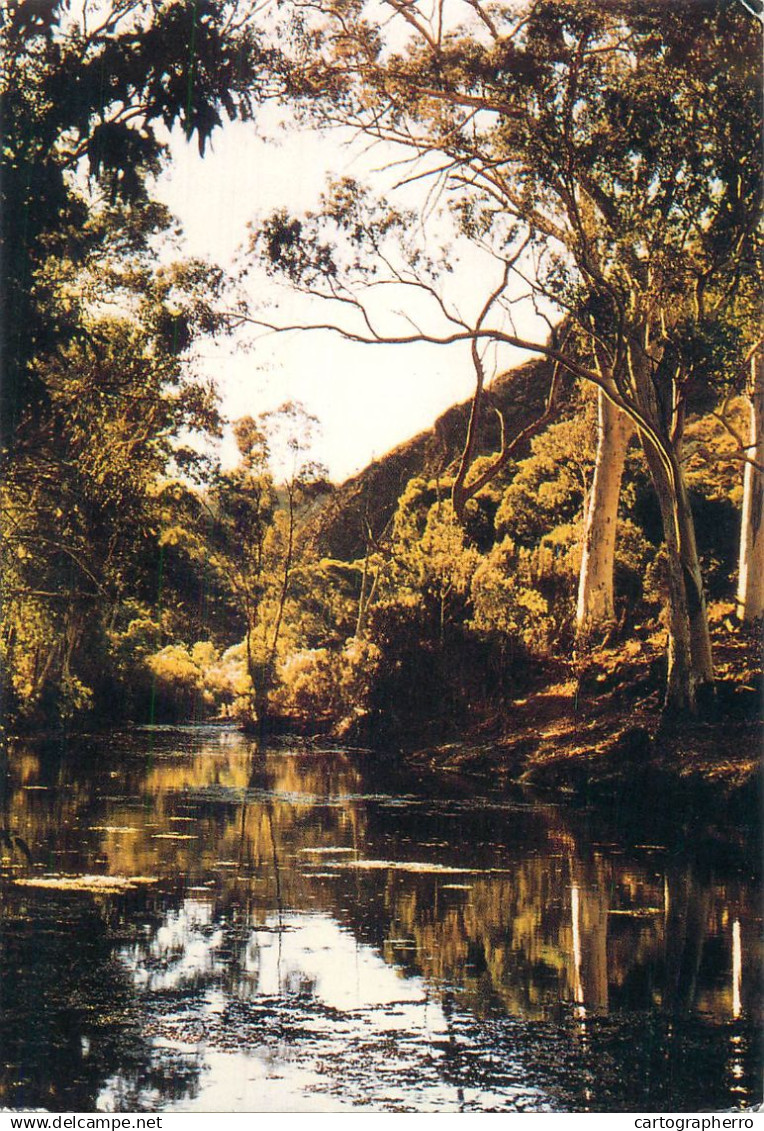 Australia Flinders Ranges Arkaroola