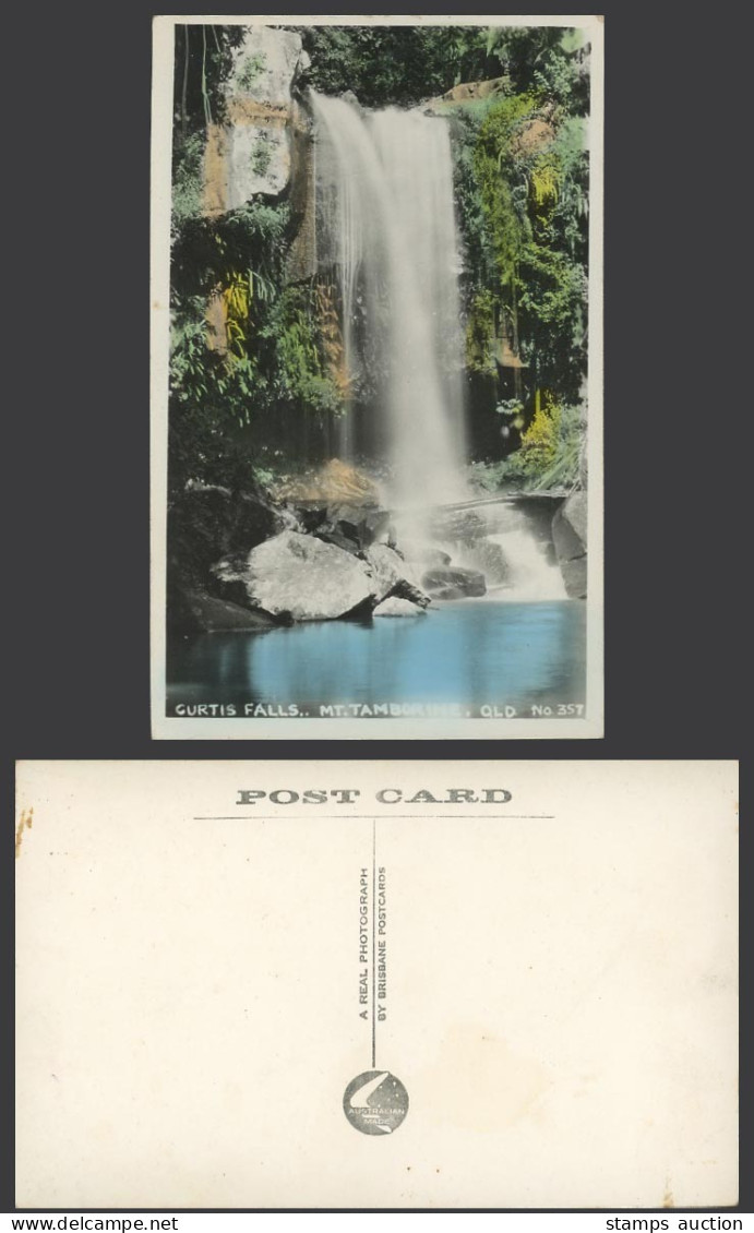 Australia Old Real Photo Color Postcard Curtis Falls Mt Tamborine QLD Queensland