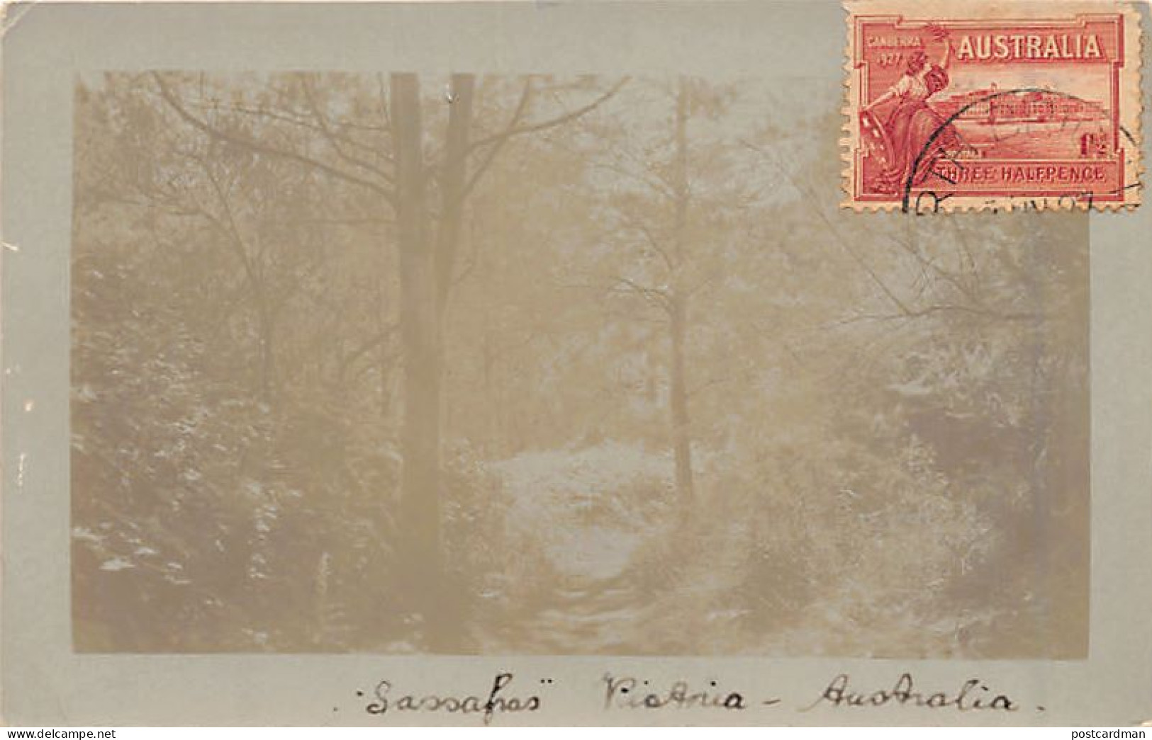 Australia - VICTORIA - Sassafras - REAL PHOTO