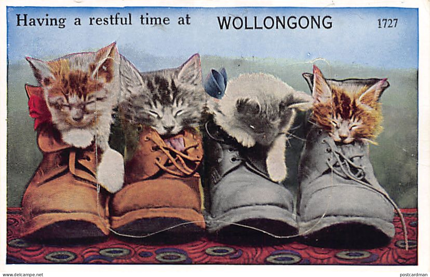 Australia - WOLLONGONG (NSW) Sachet postcard - KITTENS - Publ. Valentine's Mail Noverlty Postcard