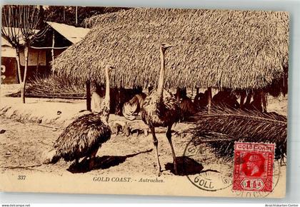 10726446 - Gold Coast