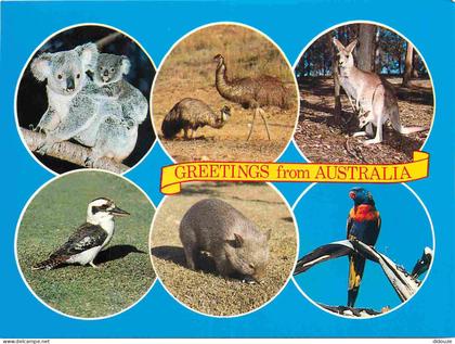 Australie - Multivues - Animaux - CPM - Voir Scans Recto-Verso