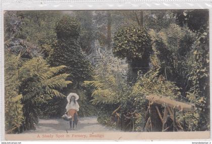 A Shady Spot in Fernery, Bendigo. *