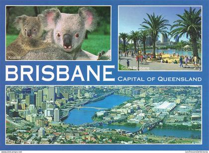 [-5%] AUSTRALIE - Brisbane - Capital of Queensland - Koalas - South Brisbane - City of Brisbane - Carte Postale