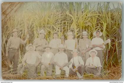 13299722 - Brisbane QLD