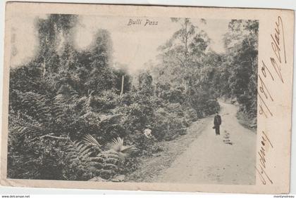 Australie :  Bulli  Pass ( éditée  Sidney )