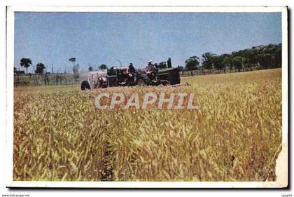 CPM Australie