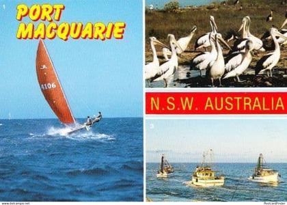 Port Macquarie New South Wales Boat Ship Wildlife Birds Photo Australia Postcard
