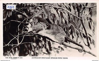 Australia - Australian ringtailed opossum with young - REAL PHOTO - Publ. The Rose Series 325