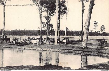 Australia - SYDNEY (NSW) Cattle - Landscape near Sydney - Publ. unknown (printed in France)