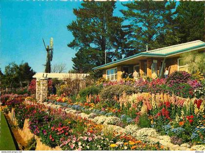 Carte Postale - Australie - Toowoomba - Colourful home garden Carnival of Flowers - fleurs - CPM - Voir Scans Recto-Vers