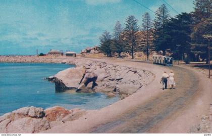 Victor Harbour SA Australia, Foreshore on Granite Island, c1950s Vintage Postcard