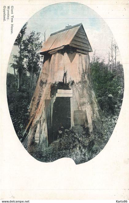 giant tree house , wynstay , gippsland * CPA * victoria australia * australie