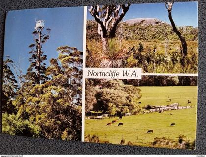 H65.1 CPM AK  Australia  -Northcliffe, WA  cancel Perth 1990     -  sent to Hungary