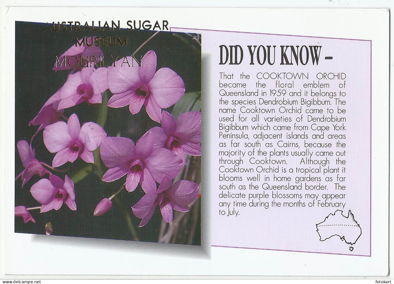Australian Sugar Museum, Vintage PC, Mourilyan QLD, Cooktown Orchid