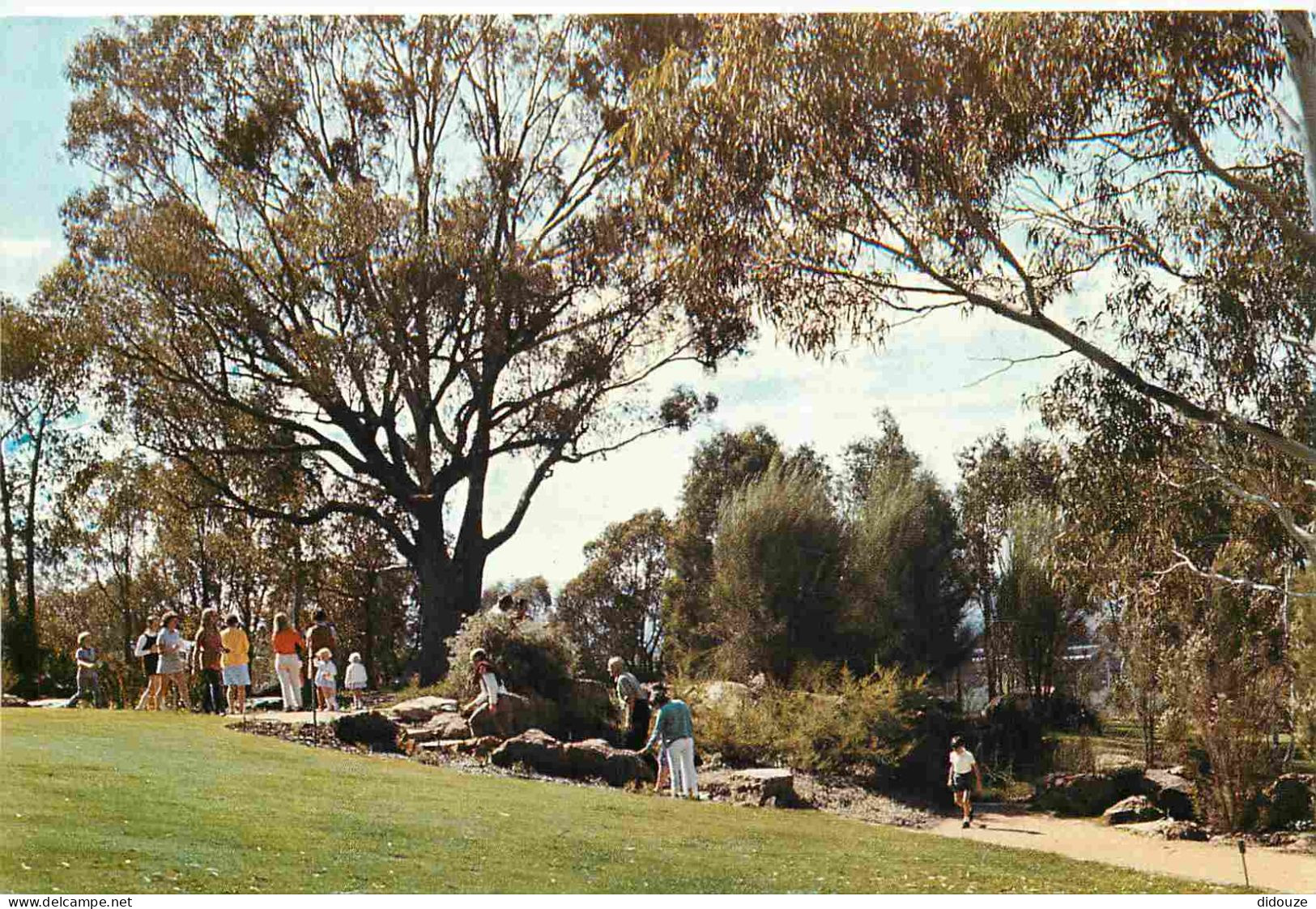 Australie - Canberra - Canberra Botanic Gardens - CPM - Voir Scans Recto-Verso