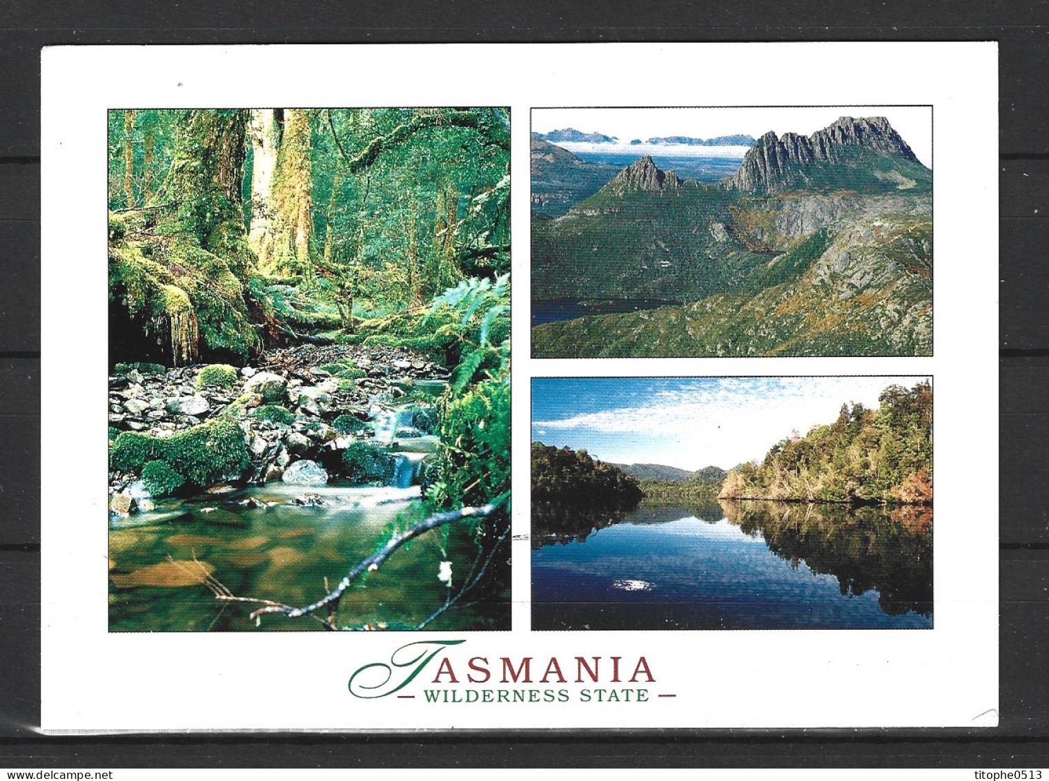 AUSTRALIE. Carte postale écrite. Wilderness State.