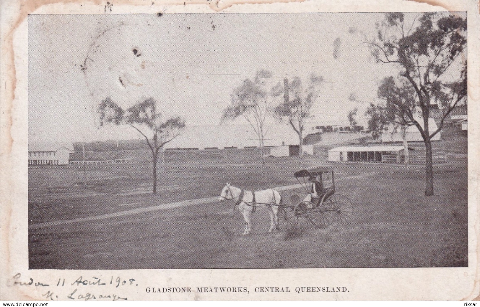 AUSTRALIE(GLADSTONE)