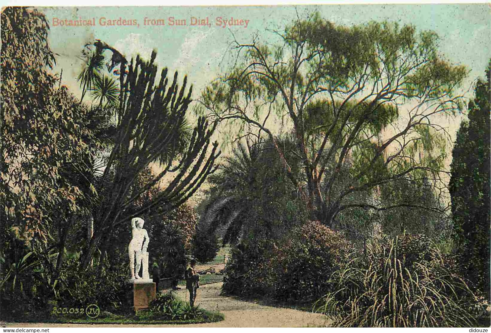 Australie - Sydney - Botanical Gardens from Sun Dial - Colorisée - CPA - Voir Scans Recto-Verso