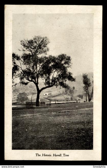 Albury - Hovell Tree