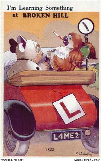 55121628 - Broken Hill