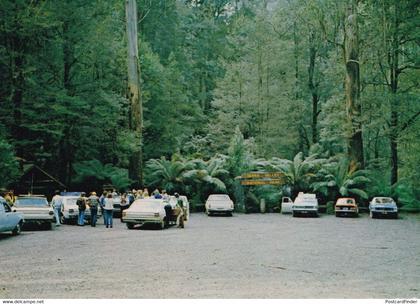 Tarra Valley National Park Car Parking Entrance South Gippsland Australia Postcard