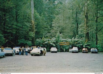 Tarra Valley National Park Car Parking Entrance South Gippsland Australia Postcard