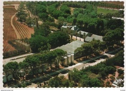 AK 256640 AUSTRALIA - Barossa Valley - Seppeltsfield Winery
