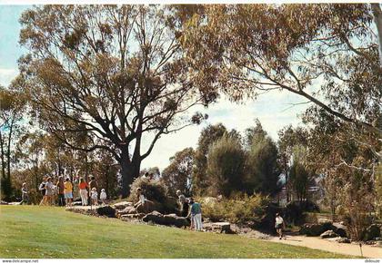Australie - Canberra - Canberra Botanic Gardens - CPM - Voir Scans Recto-Verso