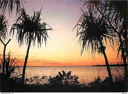 Carte Postale - Australie - Darwin - Sunset over Fannie Bay with Pandanus palms framing the tropic waters - CPM - Voir S