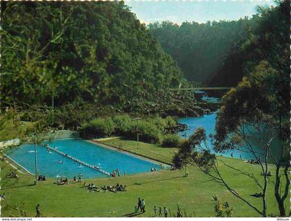 Carte Postale - Australie - Launceston - The first Basin Reserve in Cataract Gorge showing the chairlift This is the lar