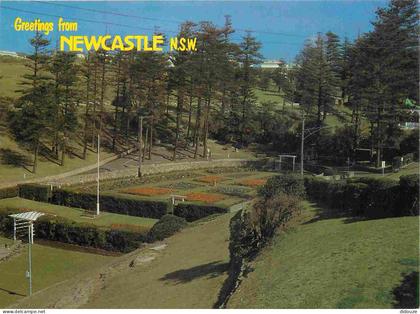 Australie - Newcastle - King Edward Park - CPM - Voir Scans Recto-Verso