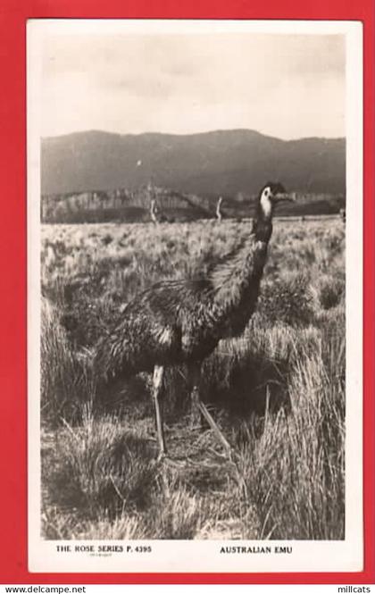 AUSTRALIA  AUSTRALIAN EMU   ROSE OF VICTORIA SERIES  RP