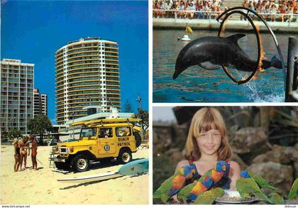 Carte Postale - Australie - Surfers paradise - Multivues - Automobiles - Dauphins - Enfants - Oiseaux - CPM - Voir Scans