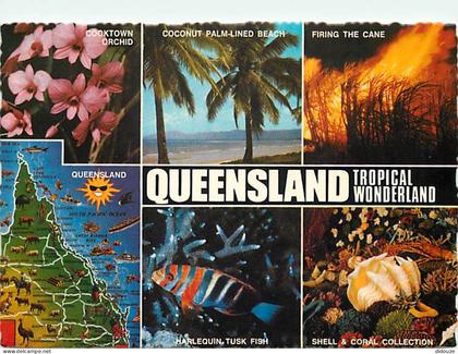 Carte Postale - Australie - Australia - Queensland - Tropical Wonderland - Multivues - Poissons - CPM - Voir Scans Recto