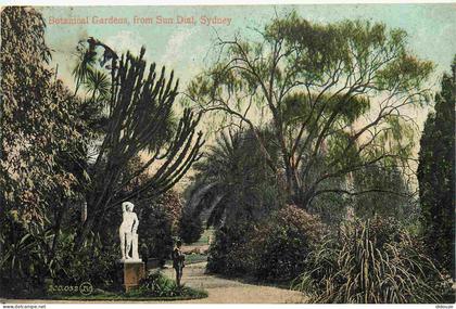 Australie - Sydney - Botanical Gardens from Sun Dial - Colorisée - CPA - Voir Scans Recto-Verso