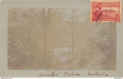 Australia - VICTORIA - Sassafras - REAL PHOTO