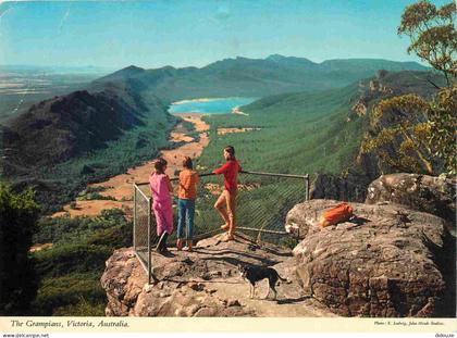 Carte Postale - Australie - The Grampians - The Grampians - chiens - CPM - Voir Scans Recto-Verso - Poscard - Carta Post