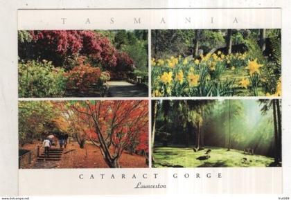 AK 256661 AUSTRALIA - Launceston - Cataract Gorge
