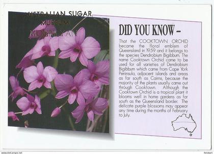 Australian Sugar Museum, Vintage PC, Mourilyan QLD, Cooktown Orchid